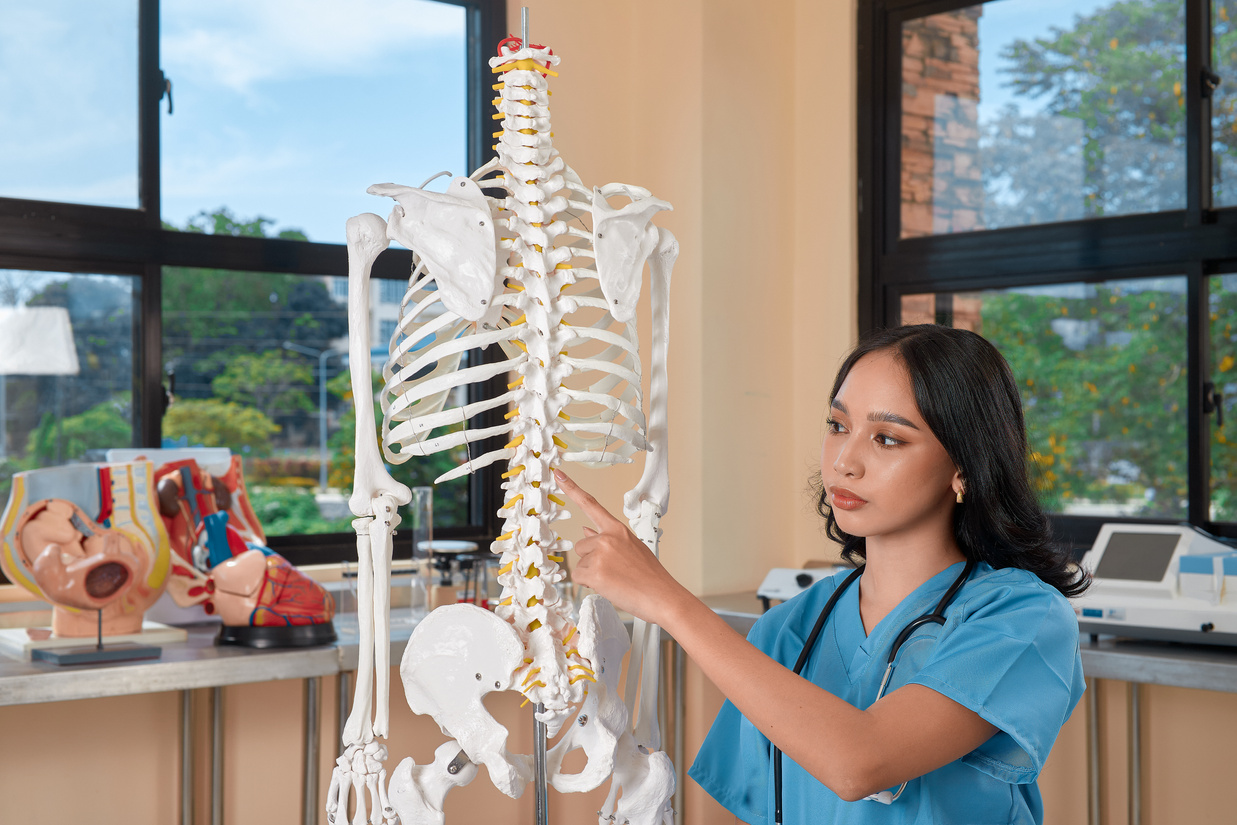 Medical Practitioner Pointing To Thoracic Spine